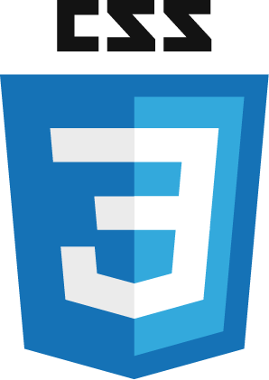 css 3 logo